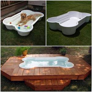 DOG POOL